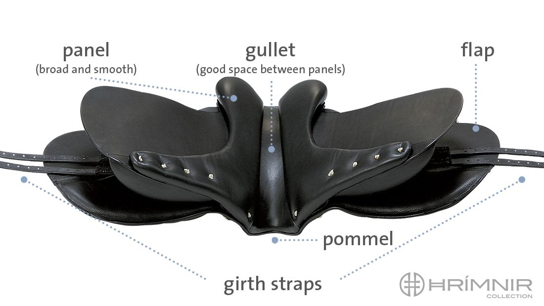 saddle parts from below